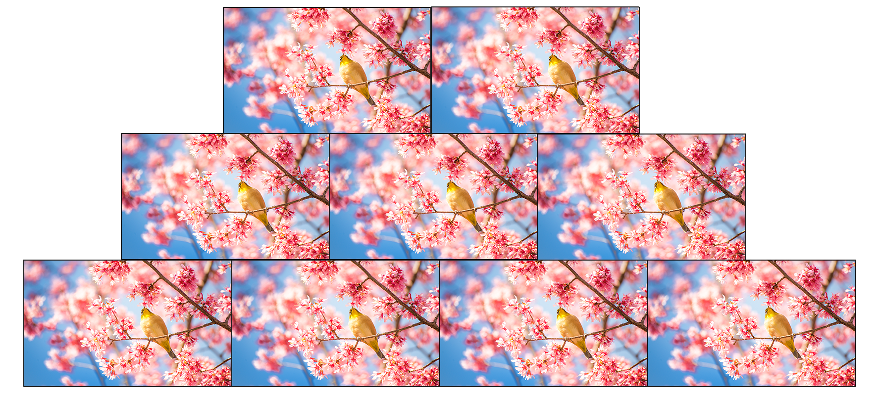 疊加主圖PNG1.png