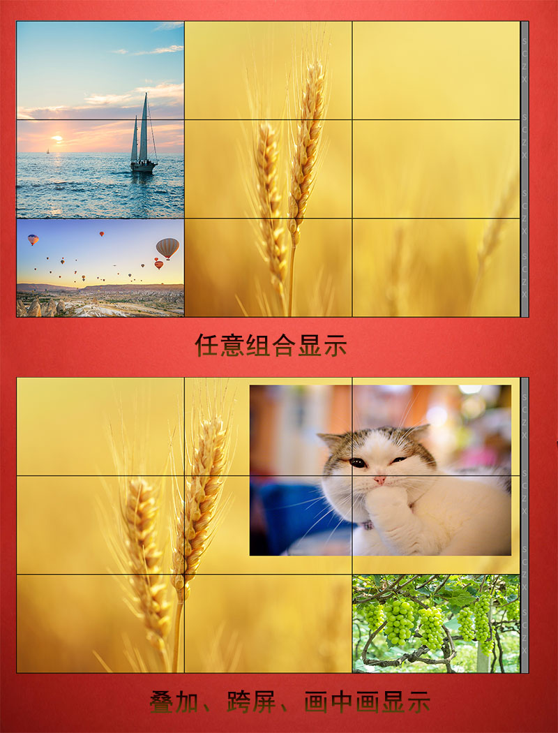愛采購圖F6.jpg