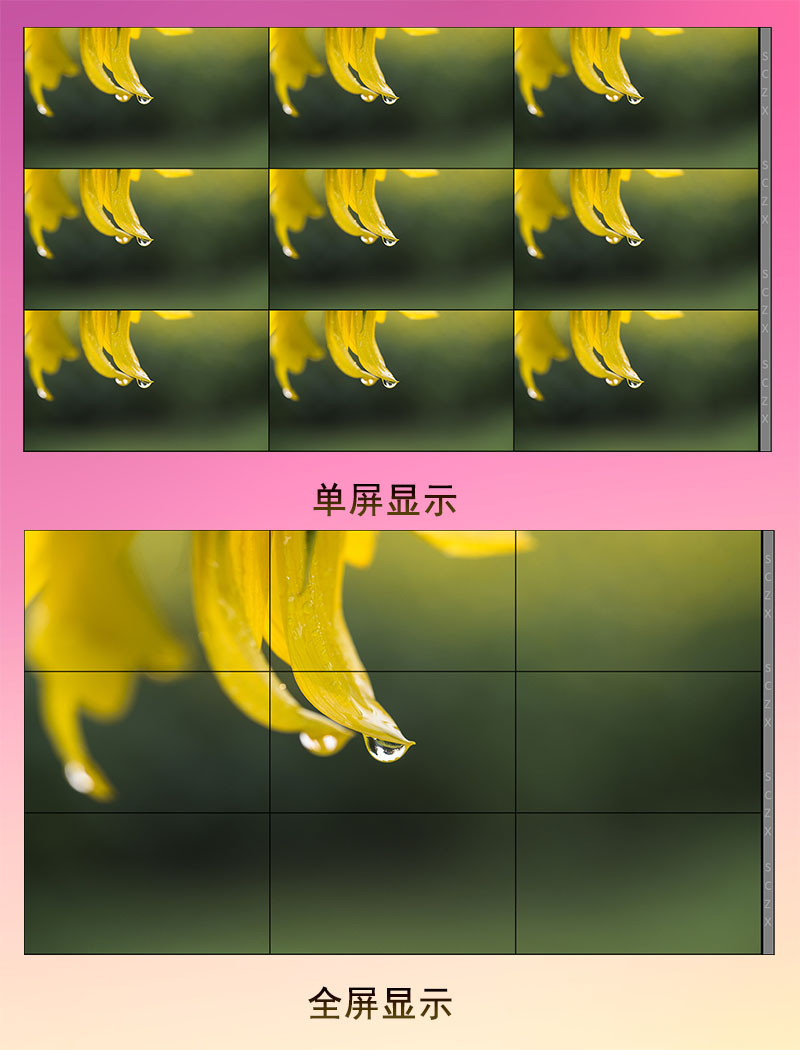 愛采購圖E11.jpg
