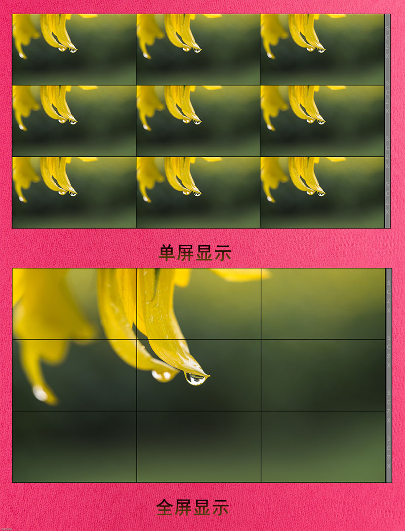 愛采購圖E12.jpg