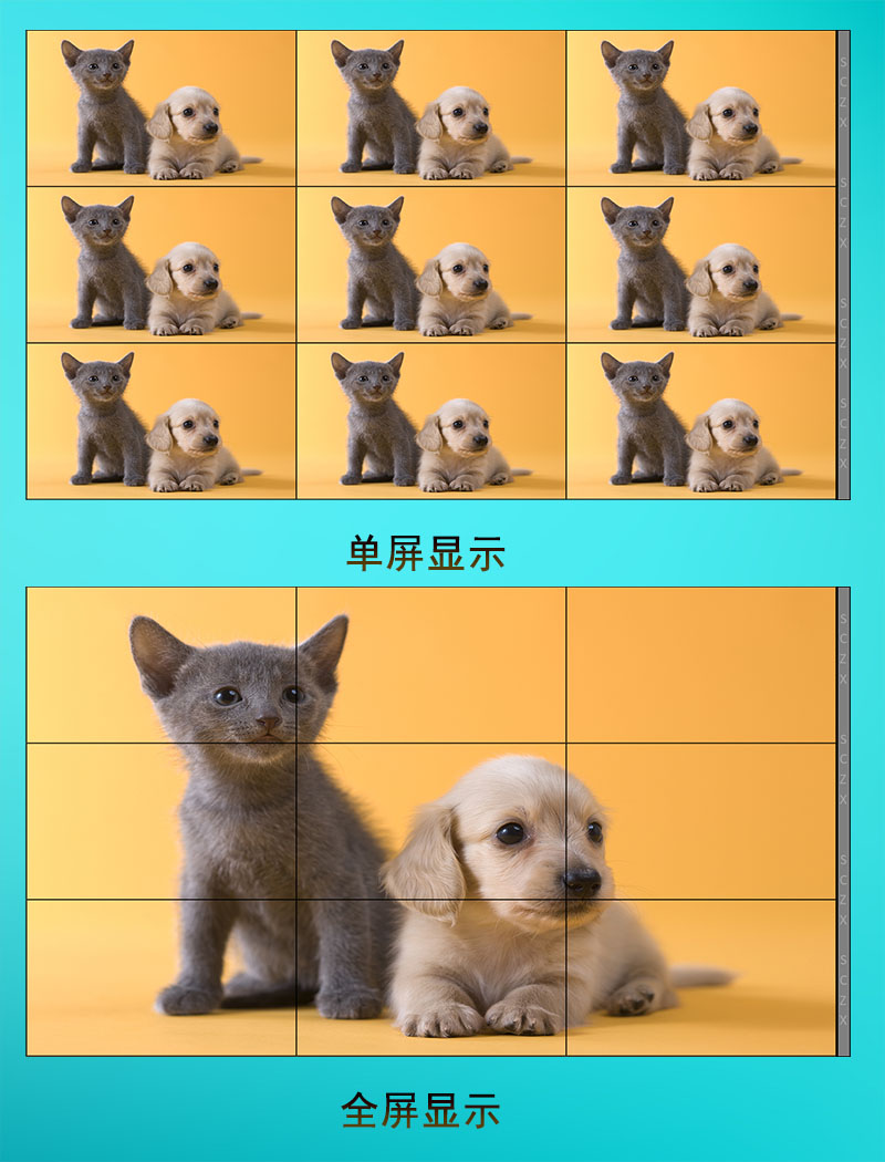 愛采購圖E19.jpg