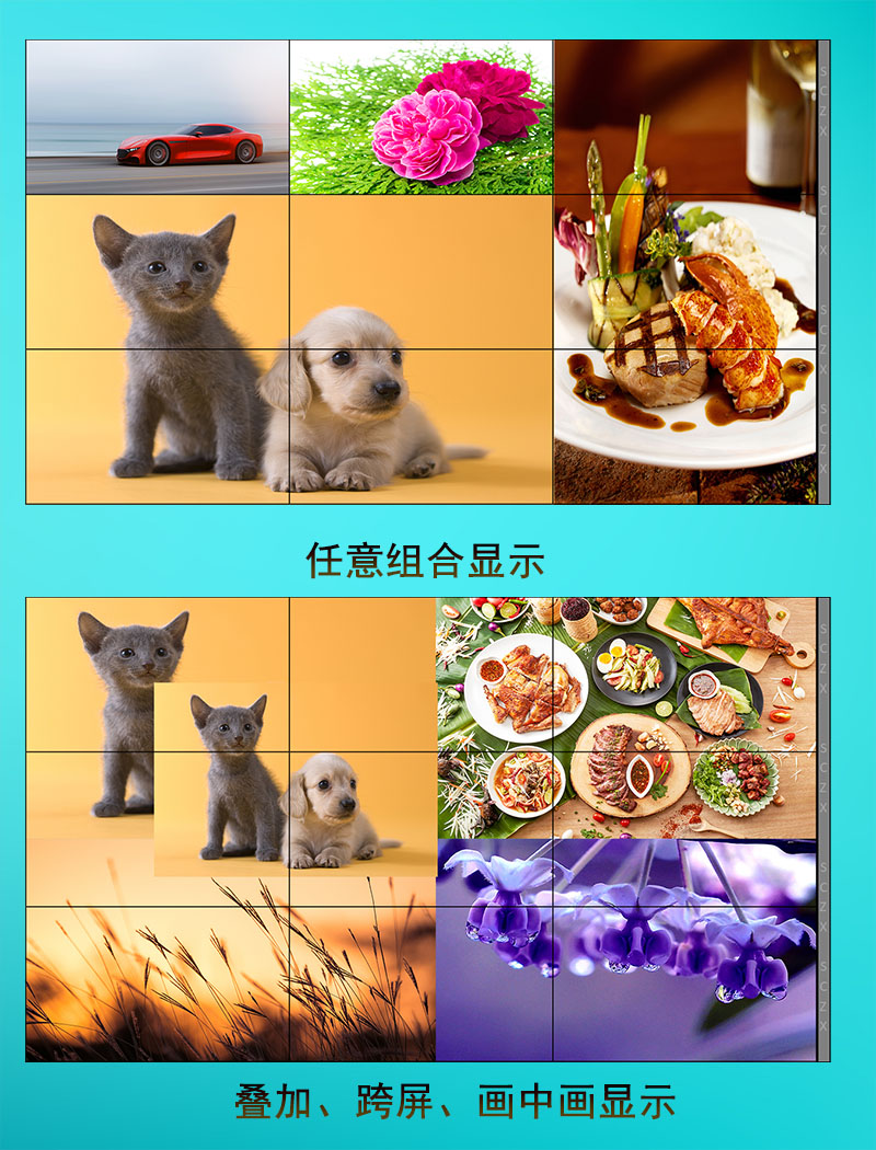 愛采購圖F19.jpg